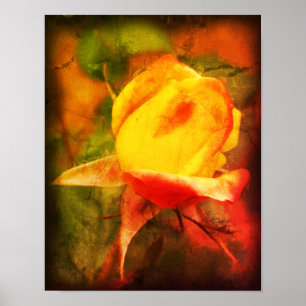Rosenknopp Blommigt Art Fotomålning är inte tryckt Poster