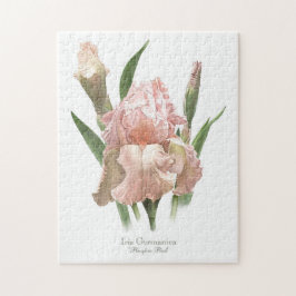 Rosenskär Iris Pussel