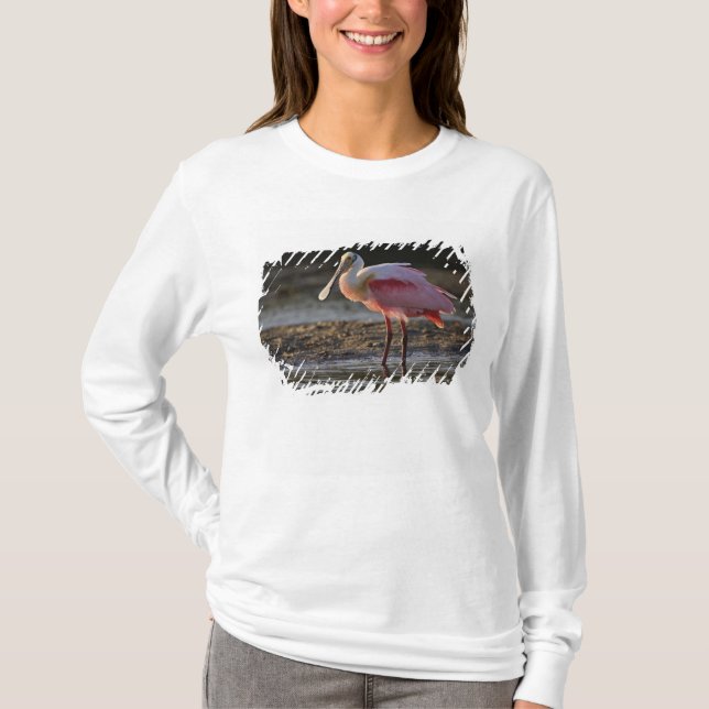 Rosenskedstork, Ajaia ajaja, Ding Darling T Shirt (Framsida)