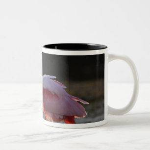 Rosenskedstork, Ajaia ajaja, Ding Darling Två-Tonad Mugg