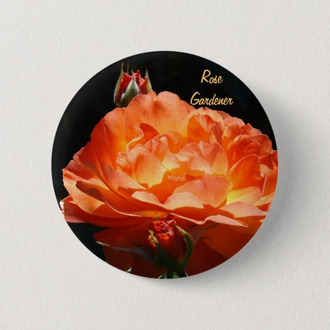 Rosenträdgårdsknapp Custom Orange Rosor Knapp (Framsida)