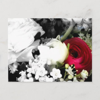 Rosenvitröding Vykort