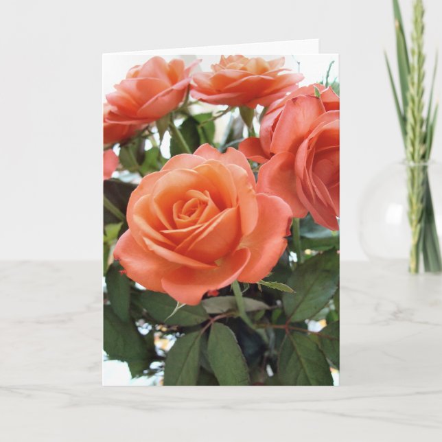 Roses Greeting Card Kort (Framsida)