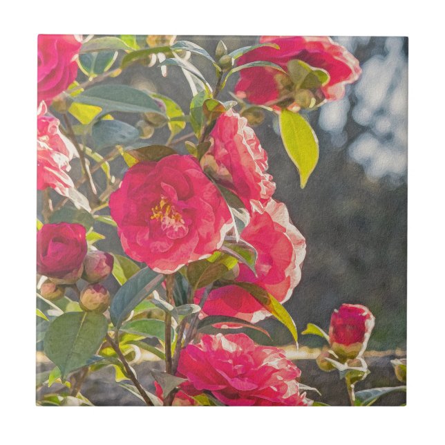 Roses  kakelplatta (Framsidan)