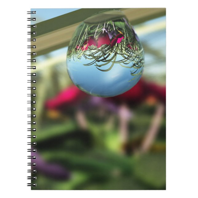 Roses on Raindrops Notebook Anteckningsbok (Framsidan)