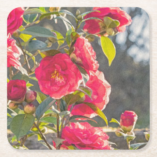 Roses  underlägg papper kvadrat