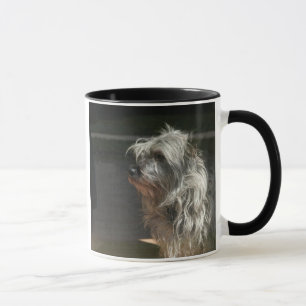 röseterrier mugg