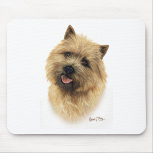 RöseTerrier Musmatta