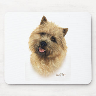 RöseTerrier Musmatta