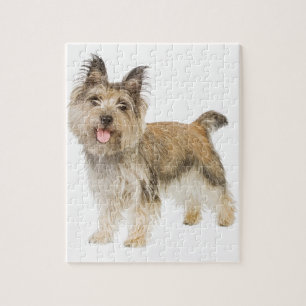 RöseTerrier Pussel