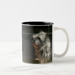 röseterrier Två-Tonad mugg