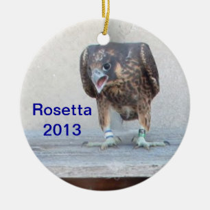Rosetta prydnad 2013 julgransprydnad keramik
