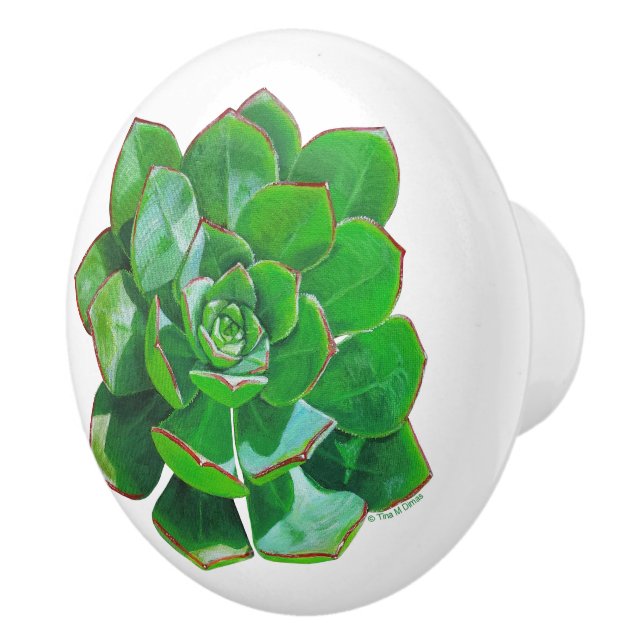 Rosette Succulent Ceramic Knob Knopp (Höger)