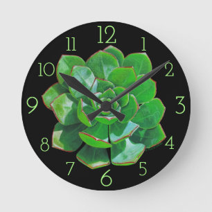 Rosette Succulent Wall Clock Rund Klocka