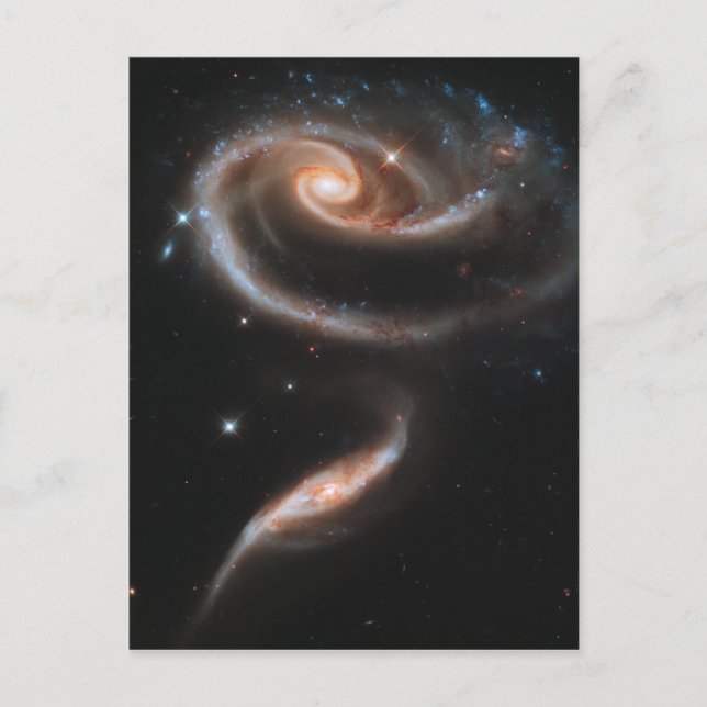Rosettspiralgalaxer Vykort (Framsida)