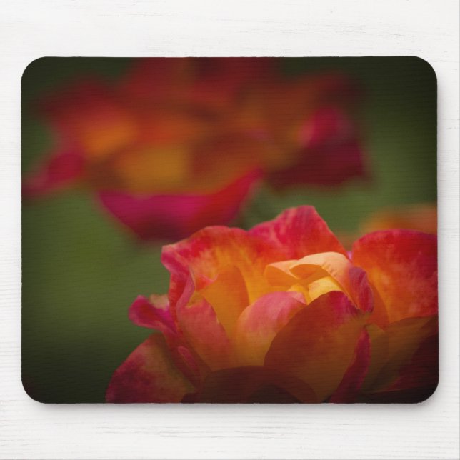 Rosey Mousepad Musmatta (Framsidan)