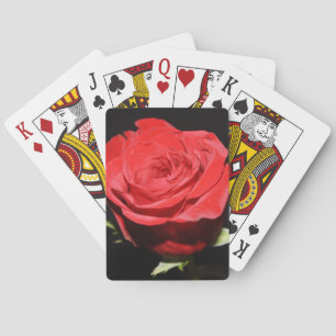 Rosey Spelningskort Casinokort