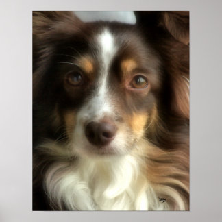 Rosie-closeup Poster