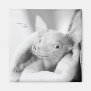Rosie fotomagnet magnet
