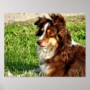 Rosie in the breeze poster
