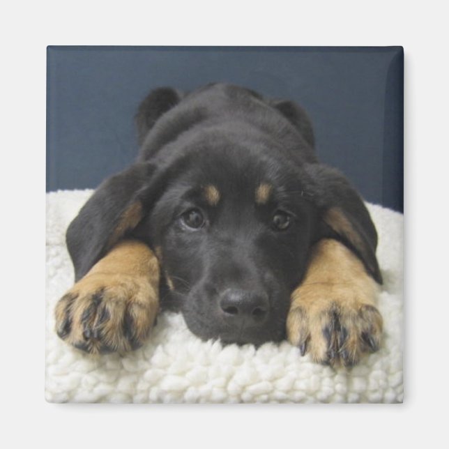 Rosie Magnet (Framsidan)