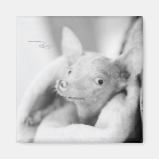Rosie Photo Magnet
