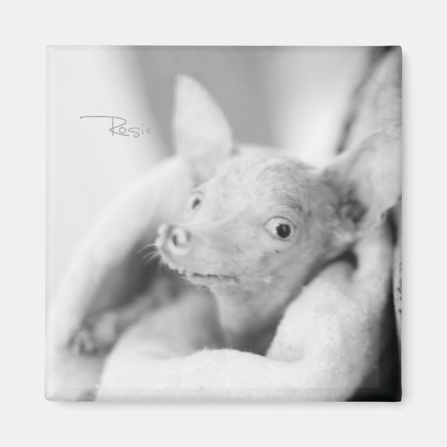 Rosie Photo Magnet (Framsidan)