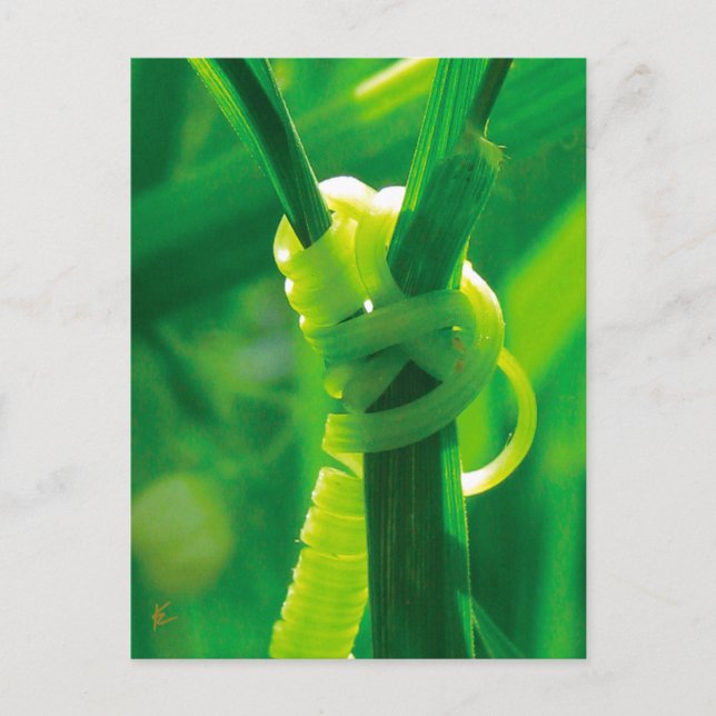 Rosie the Riveter Sweet Pea Vine Encouragement Vykort (Framsida)