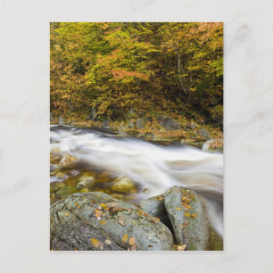 Rosing Brook i Vermonts Grönt Vykort