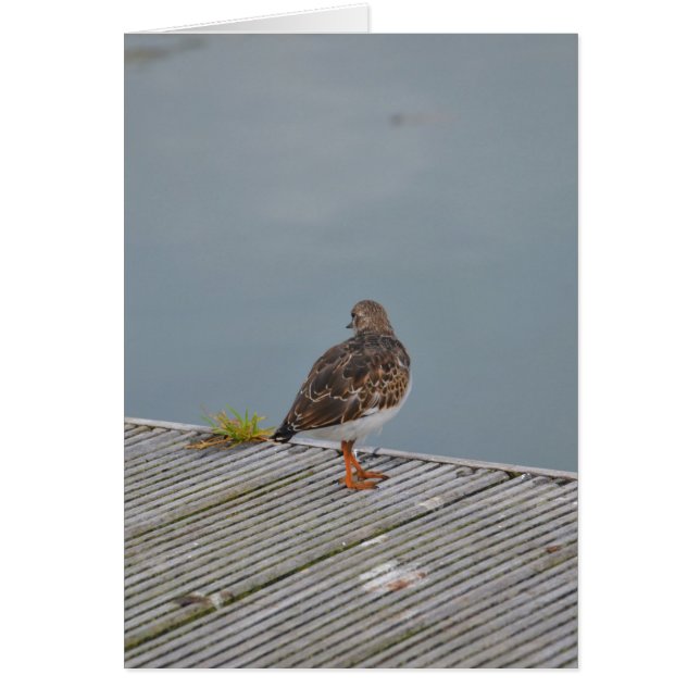 Roskarl Hälsningskort (Framsidan)