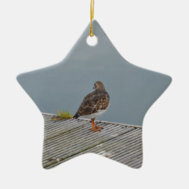 Roskarl Julgransprydnad Keramik