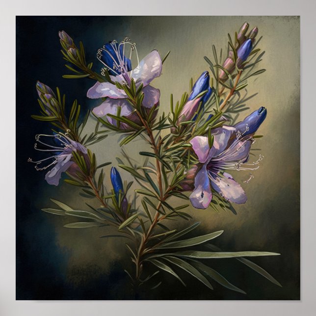 Rosmarin Blomma Konsttryck Poster (Framsidan)