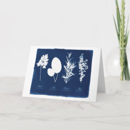 Rosmarinar & timjan för Parsley tomma visa Kort