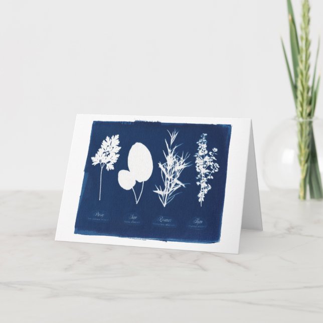 Rosmarinar & timjan för Parsley tomma visa Kort (Framsida)