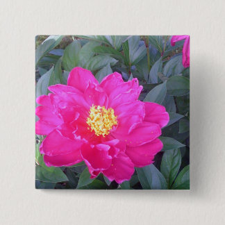 Rosor 3 knäppas knapp