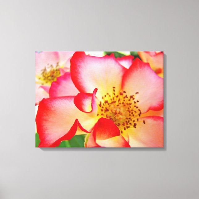 Rosor Blommig Trädgård Canvas Fotografi tryck (Framsida)