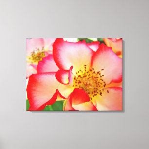 Rosor Blommig Trädgård Canvas Fotografi tryck