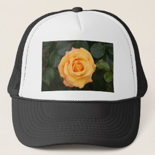 rosor blommor blomma kärlek fru älskling par keps