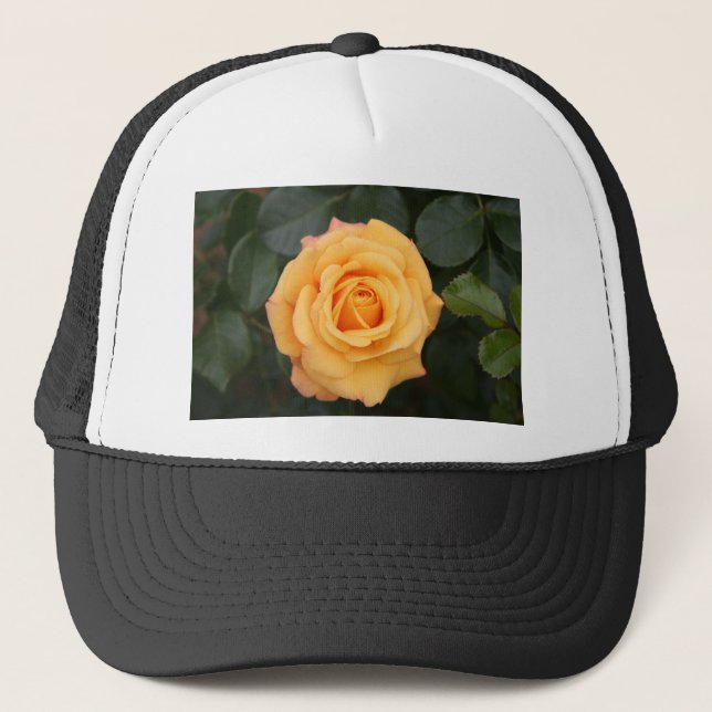 rosor blommor blomma kärlek fru älskling par keps (Framsida)