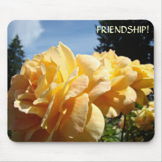 Rosor Blommor Orange rosor Musmatt FRIENDSHIP! Musmatta
