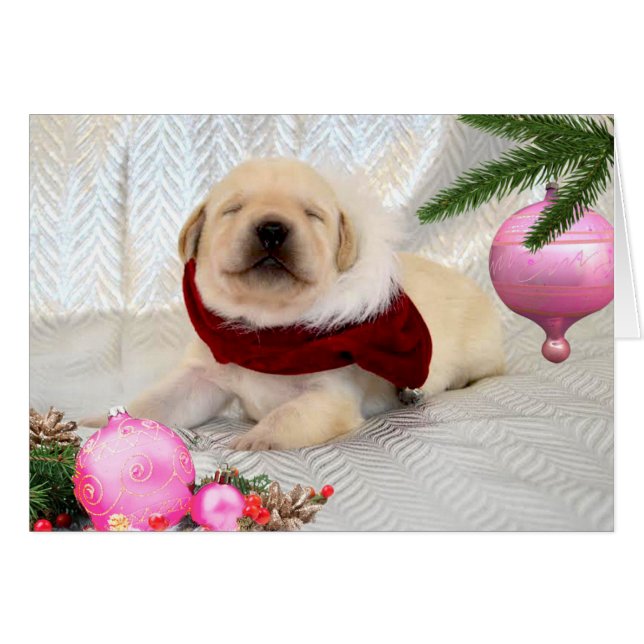 Rosor för tacksamhetvecka 2 hälsningskort (Framsidan Horizontal)