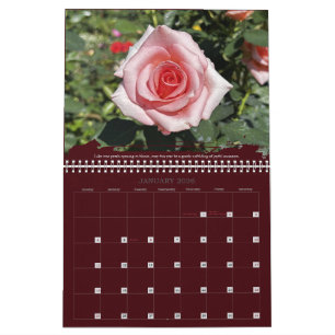 Rosor Fotografi Inspirerande Citat Kalender