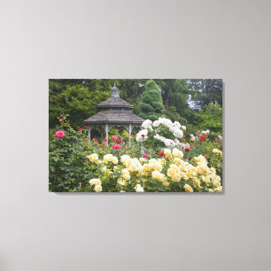 Rosor i blom och Gazebo Rose Garden vid Canvastryck
