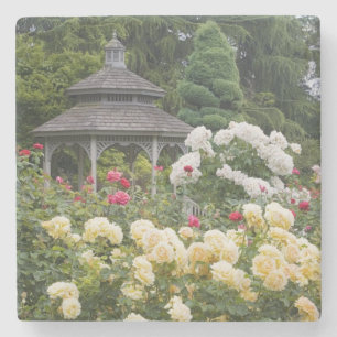 Rosor i blom och Gazebo Rose Garden vid Underlägg Sten