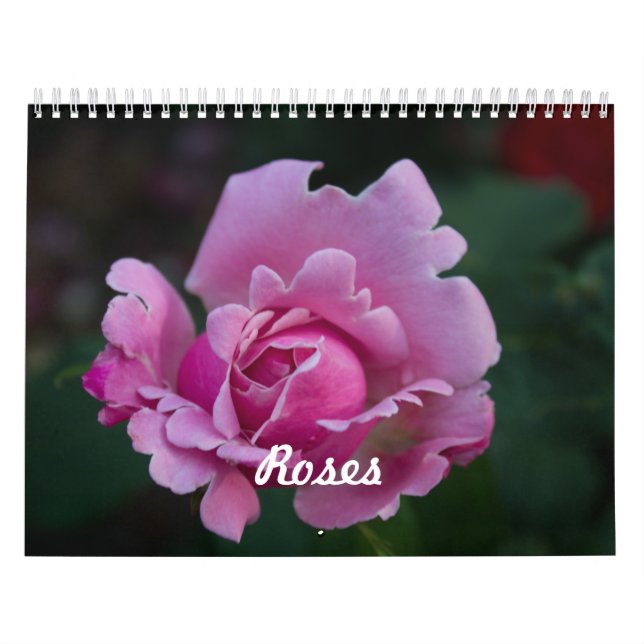 Rosor Kalender (Omslag)