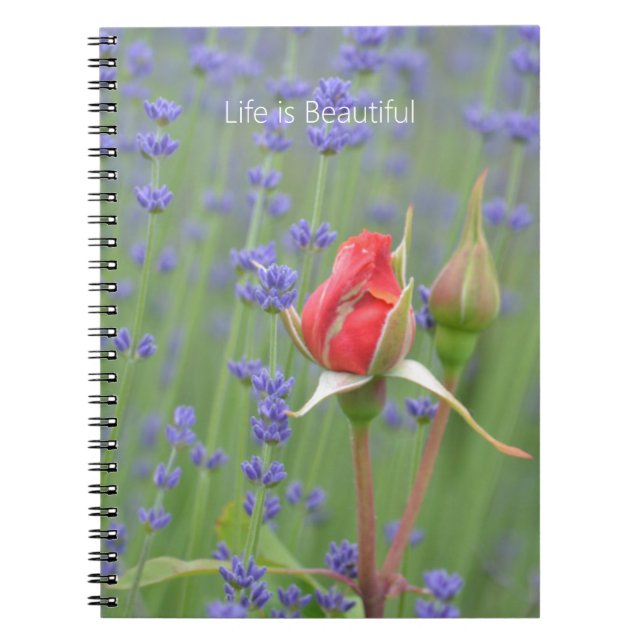 Rosor Lavendel Blommig (min fotografering) Anteckningsbok (Framsidan)