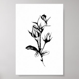Rosor Line Teckning Art Skiss över Bläck av Rosen Poster