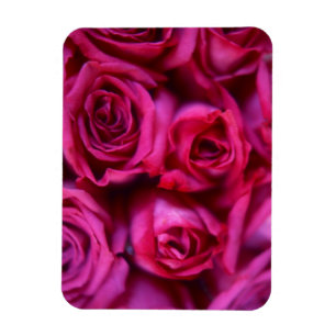 Rosor Magnet