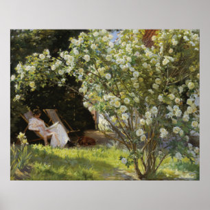 Rosor. Marie Krøyer sittande i deckstolen Poster
