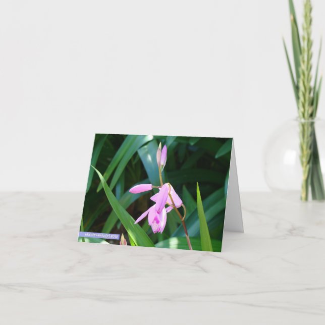 Rosor mot grönt kort (Framsida)